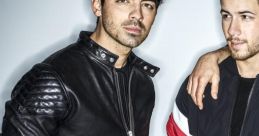 The Jonas Brothers