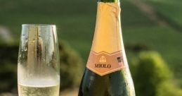 Brazil wine