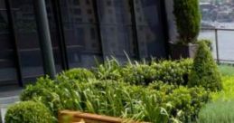 Tech Garden