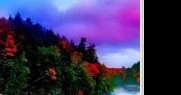 Nature Videos