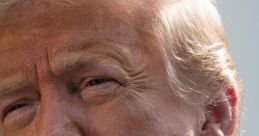 Donald Trump - CNN