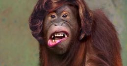 Filthy monkeyyyy