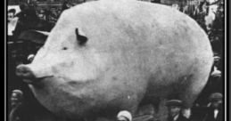 Вставай свинья