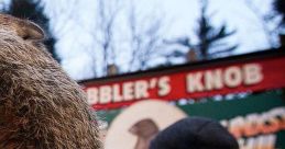 Groundhog Day 2019