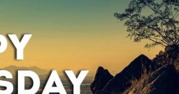 Happy Wednesday
