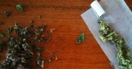 VAMO A FUMAR PORRO