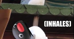 NOOT NOOT! meme