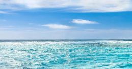 The Ocean