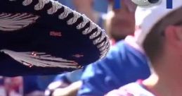 Bills super fan