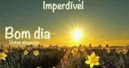 ► koda - bom dia