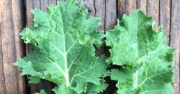 Kale rare