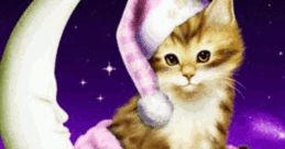 Gute Nacht Chat