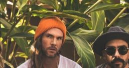 Dirty Heads