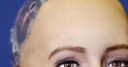 Sophie the robot