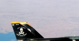 Tomcats