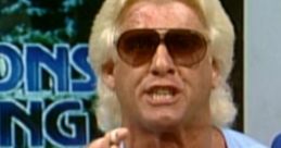 WCW Ric Flair