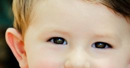 Little Boy