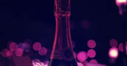 Reggeaton Champagne