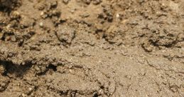 Mud