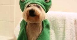 Funny Good Morning Video
