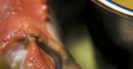 Pinch crab