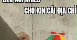 Cho bo may dia chi