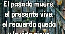 La vida a pasado por encima mio The phrase "La vida a pasado por encima mio" carries a weighty sense of reflection and