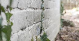 Stretched vine boom