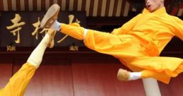 Kung Fu