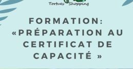 Formation tortue