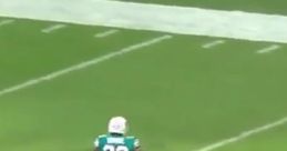 Gronk Dolphins Post-Game