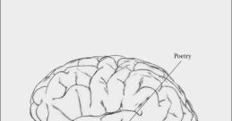 Stupid MInds