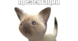 Произошел троллинг
