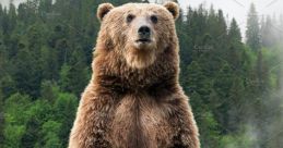Big Bear