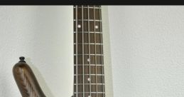 BASS(InFi)