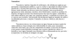 É P4u! É p4u pra comer sabão e é p4u pra saber É P4u! The reverberated through the room, echoing off the walls and