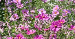 DramaticEffect-FlorAtLaur The first , "DramaticEffect," is a powerful and intense audio clip that is sure to grab your