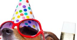 Party Poopers