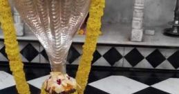 Jyotir