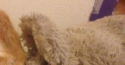 Snuggy Bunny