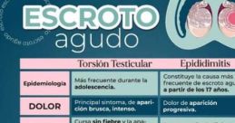 Me pone el escroto bien durezco