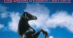 The Black Stallion Returns