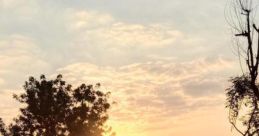 Indian my sunshine