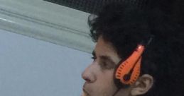 دوله يبن الكلب