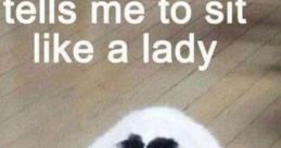 Cat Is a meme