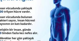 Insan Halasını