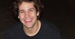 David Dobrik vlogs