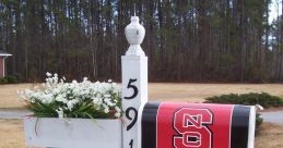 LET'S GO NORTH CAROLINA