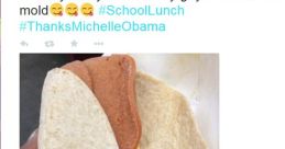 Obama sandwich The mere mention of an "Obama sandwich" invokes a cacophony of that immediately transport you to a