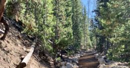 BYWAY10
